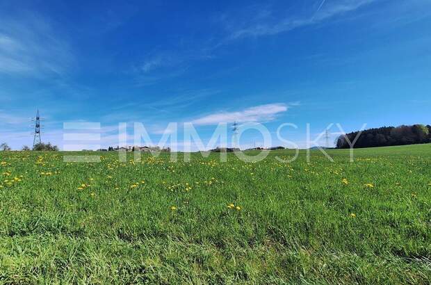Grundstück kaufen in 5201 Seekirchen (Bild 2)