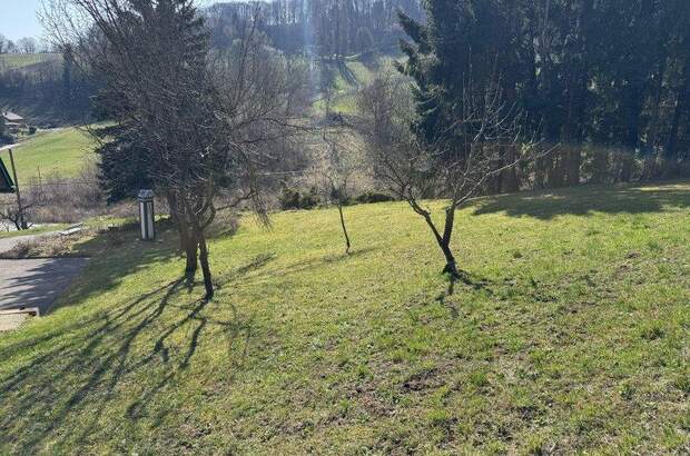 Bauernhaus mieten in 8472 Spielfeld (Bild 5)