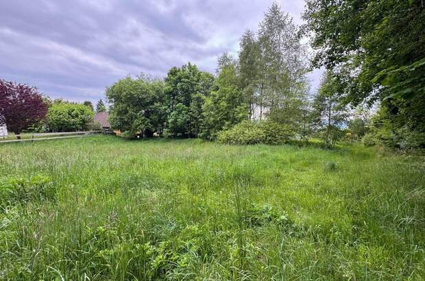 Grundstück kaufen in 4201 Eidenberg (Bild 3)