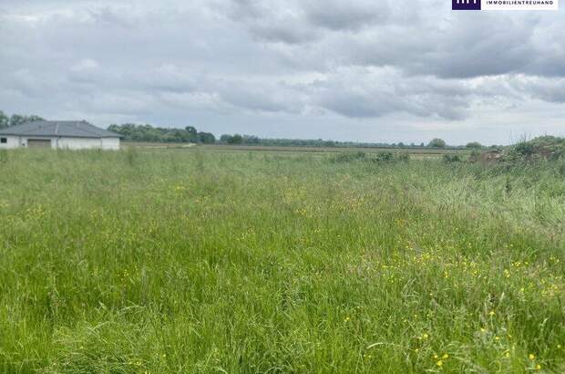 Grundstück kaufen in 7564 Dobersdorf (Bild 1)