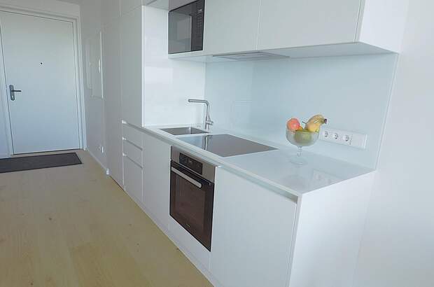 Terrassenwohnung mieten in 1220 Wien (Bild 3)