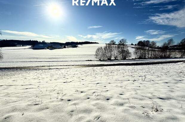 Grundstück kaufen in 4841 Ungenach (Bild 3)