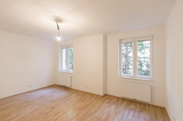 Wohnung mieten in 1060 Wien (Bild 3)
