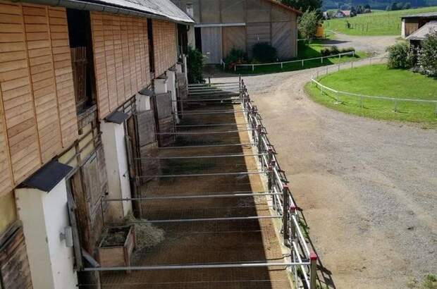 Immobilie mieten in 8732 Seckau (Bild 1)