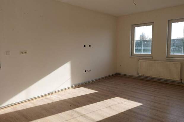 Gewerbeobjekt mieten in 3385 Prinzersdorf (Bild 3)