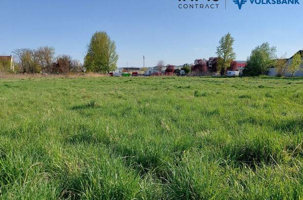 Gewerbeobjekt mieten in 3500 Krems (Bild 2)