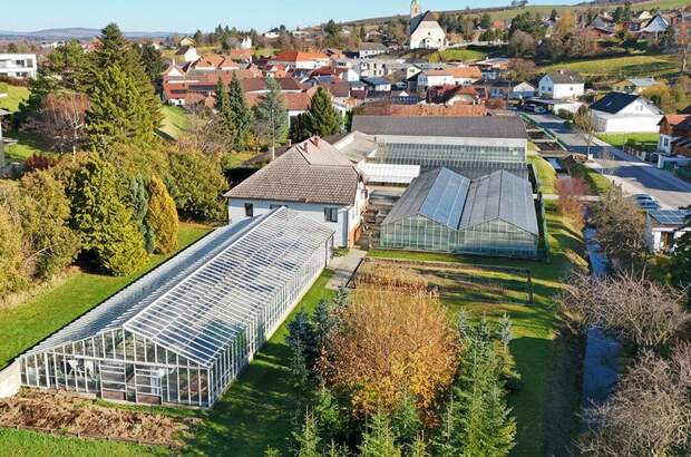 Gewerbeobjekt kaufen in 3434 Katzelsdorf (Bild 1)