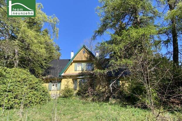 Einfamilienhaus kaufen in 3972 Bad Großpertholz (Bild 1)