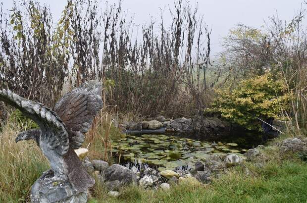 Haus mit Garten kaufen in 4062 Thürnau (Bild 5)