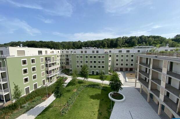 Wohnung mit Balkon mieten in 3451 Pixendorf (Bild 3)