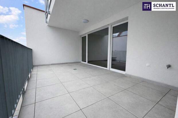 Terrassenwohnung kaufen in 2514 Traiskirchen (Bild 5)