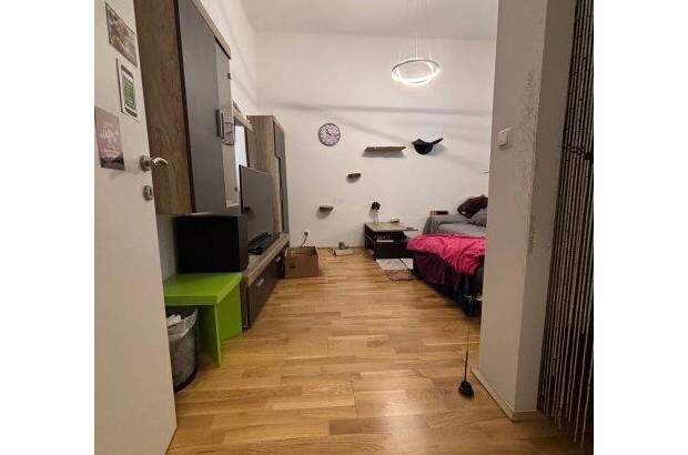 Wohnung mieten in 4600 Wels (Bild 3)