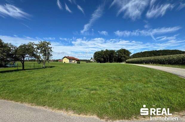 Grundstück kaufen in 5133 Gilgenberg (Bild 3)