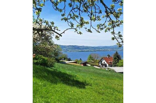 Grundstück kaufen in 4852 Weyregg (Bild 3)