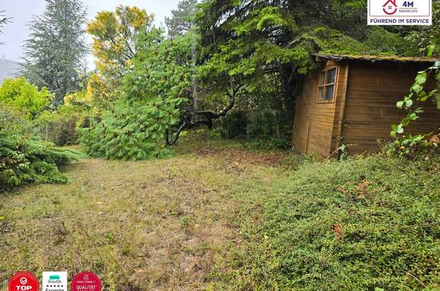 Einfamilienhaus kaufen in 3400 Kierling (Bild 3)