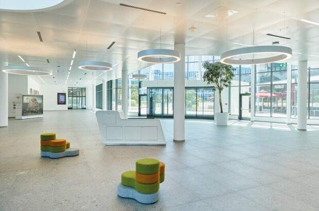 Büro / Praxis mieten in 1300 Schwechat (Bild 3)