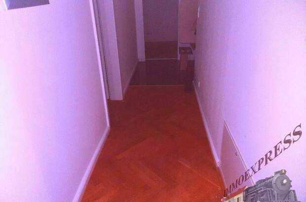 Terrassenwohnung mieten in 1140 Wien (Bild 2)