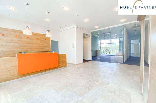 Gewerbeobjekt mieten in 1220 Wien (Bild 2)