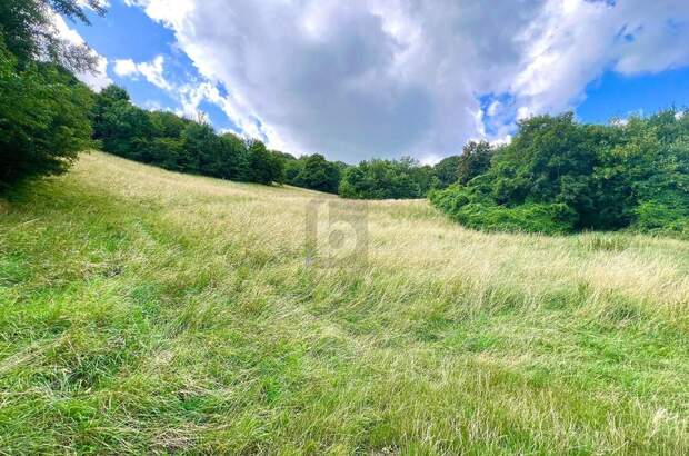 Grundstück kaufen in 3400 Klosterneuburg (Bild 1)