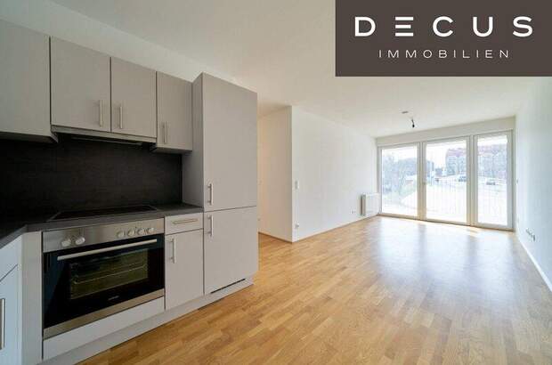 Terrassenwohnung mieten in 1230 Wien (Bild 3)