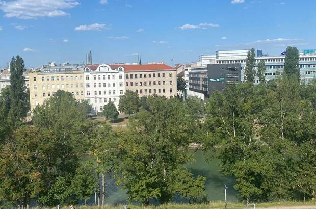 Altbauwohnung kaufen in 1090 Wien (Bild 1)