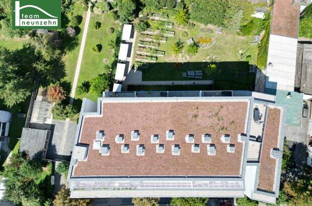 Terrassenwohnung mieten in 8020 Graz (Bild 4)