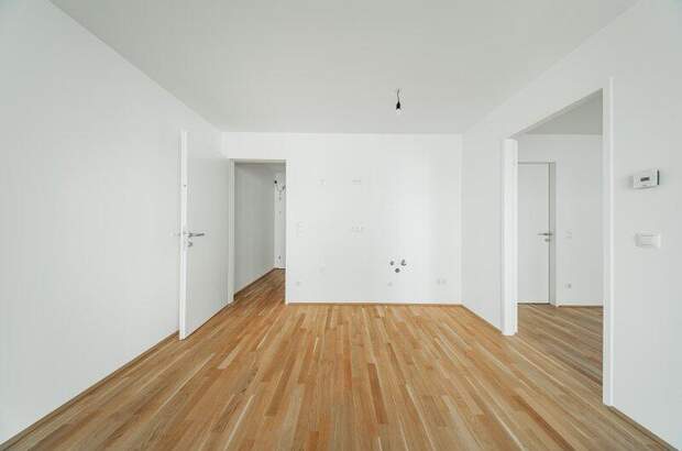 Terrassenwohnung kaufen in 1210 Wien (Bild 3)