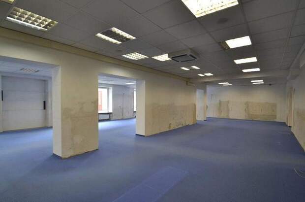 Gewerbeobjekt kaufen in 3250 Wieselburg (Bild 3)