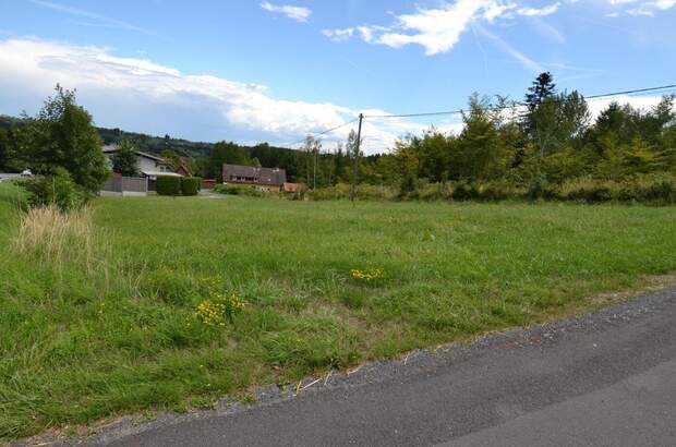 Gewerbeobjekt kaufen in 8511 Teipl (Bild 5)