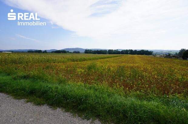 Grundstück kaufen in 3430 Frauenhofen (Bild 2)