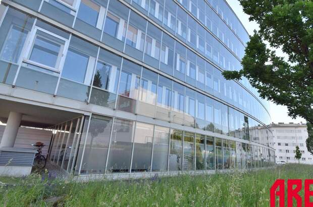 Gewerbeobjekt mieten in 4040 Linz (Bild 3)