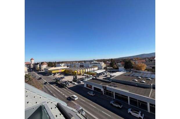 Terrassenwohnung kaufen in 2700 Wr. Neustadt (Bild 3)