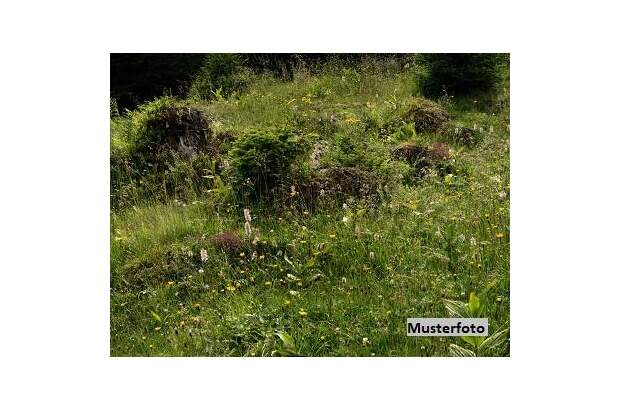 Grundstück kaufen in 8680 Mürzzuschlag (Bild 1)