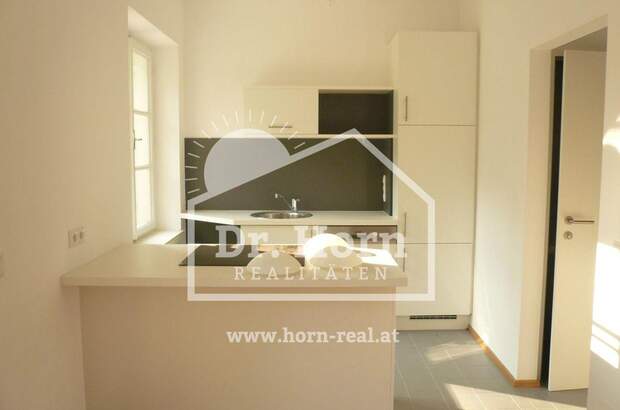 Altbauwohnung mieten in 8044 Graz (Bild 1)