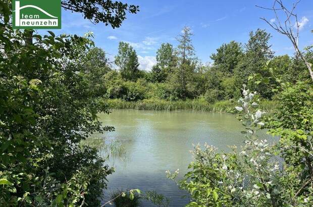 Terrassenwohnung kaufen in 1210 Wien (Bild 4)
