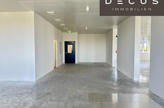 Büro / Praxis mieten in 1230 Wien (Bild 4)