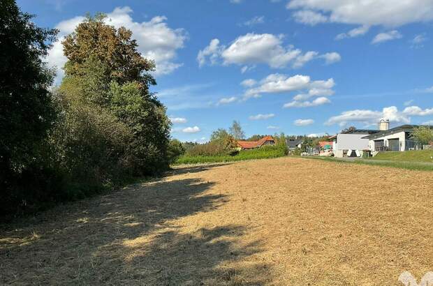 Grundstück kaufen in 8504 Preding (Bild 1)