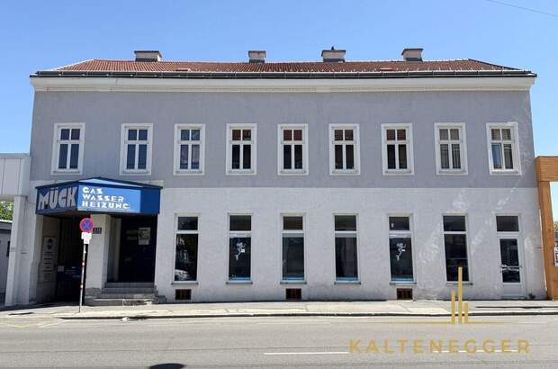 Gewerbeobjekt mieten in 1230 Wien (Bild 1)