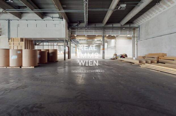 Gewerbeobjekt mieten in 2514 Traiskirchen (Bild 5)