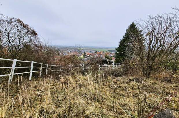 Einfamilienhaus kaufen in 3433 Königstetten (Bild 4)