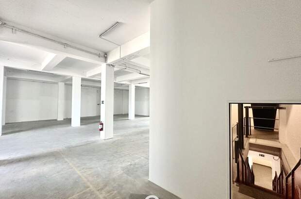 Gewerbeobjekt mieten in 4470 Enns (Bild 3)