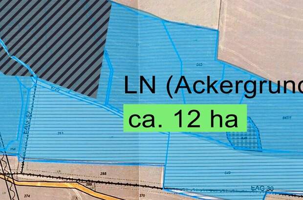 Gewerbeobjekt kaufen in 4643 Pratsdorf (Bild 3)