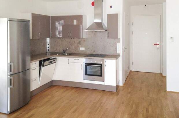 Terrassenwohnung mieten in 1020 Wien (Bild 3)