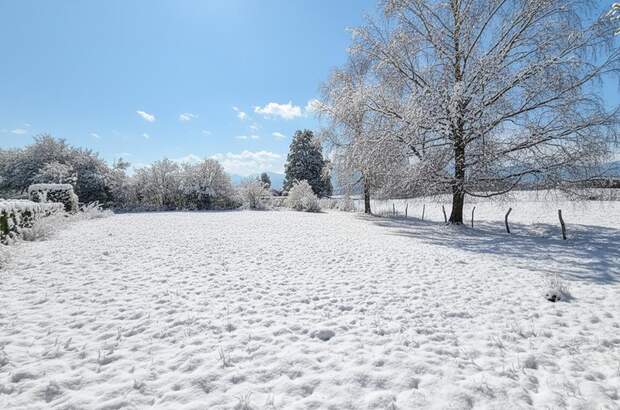 Grundstück kaufen in 5020 Salzburg (Bild 4)