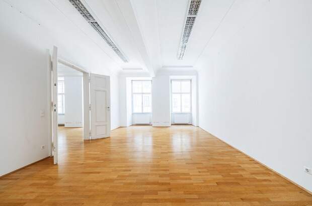 Gewerbeobjekt mieten in 1010 Wien (Bild 4)