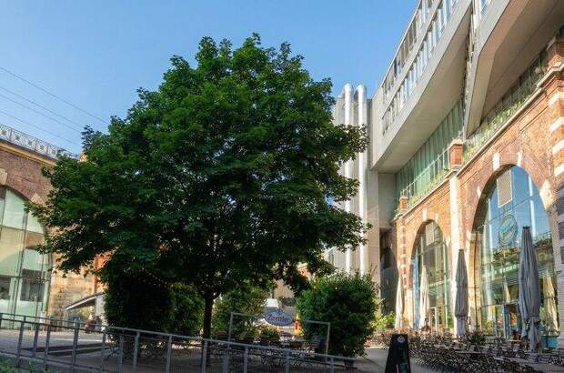 Büro / Praxis mieten in 1190 Wien (Bild 4)