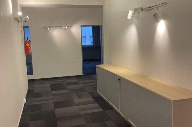 Gewerbeobjekt mieten in 8042 Graz (Bild 3)