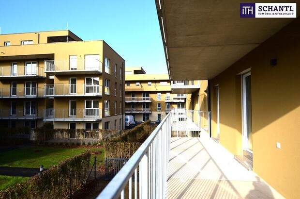 Terrassenwohnung kaufen in 8401 Kalsdorf (Bild 2)