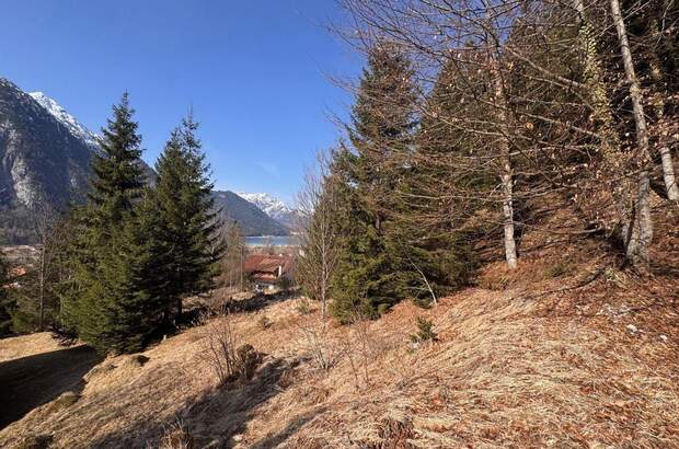 Grundstück kaufen in 6212 Maurach