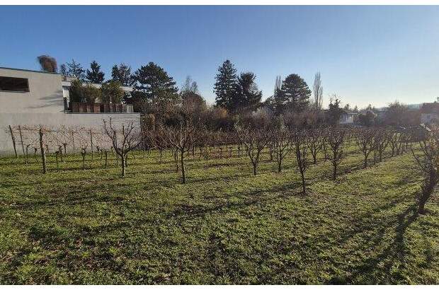 Grundstück kaufen in 2103 Langenzersdorf (Bild 3)